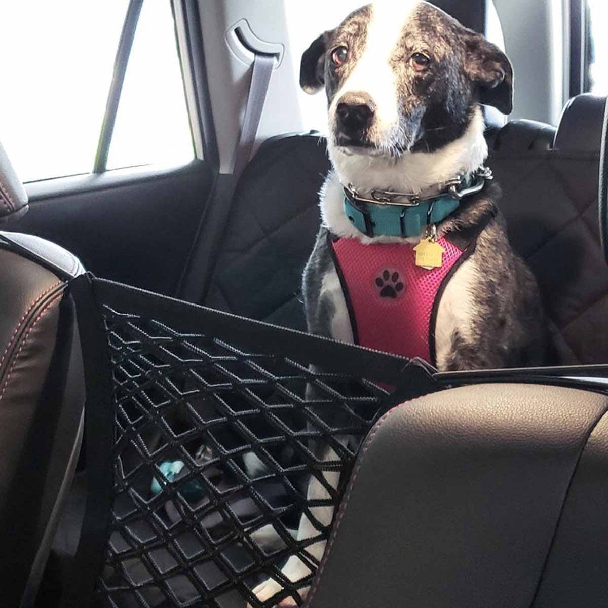 Hond Achterbank Auto Hek Hond  - Partition Screen Divider recensie en prijs